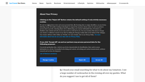 LCSUN - Cockroach Control Pesticides