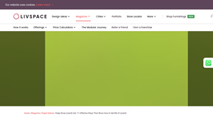 Livspace - Natural Lizard Deterrents