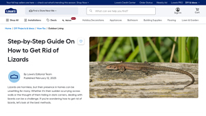 Lowe's - Tools & Materials