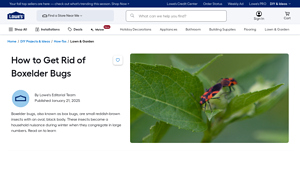 Lowe's - Tools and Materials