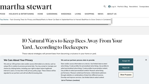 Martha Stewart - Bee-Proof Solutions