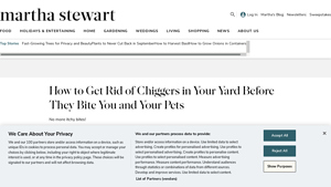 Martha Stewart - Essential Oils for Chigger Deterrence