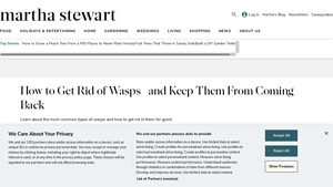 Martha Stewart - Peppermint Oil Wasp Repellent