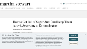 Martha Stewart - Ant Control Solutions
