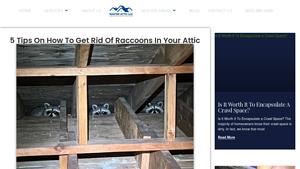 Master Attic - Raccoon Removal & Rodent Proofing
