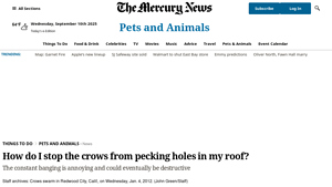 Mercury News - Crow Deterrent Solutions