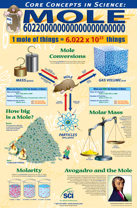 Illustrative image for Mole Repeller