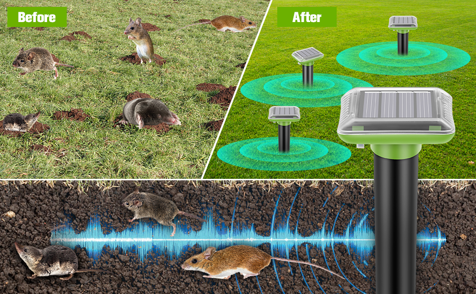 Illustrative image for Mole Repeller Solar
