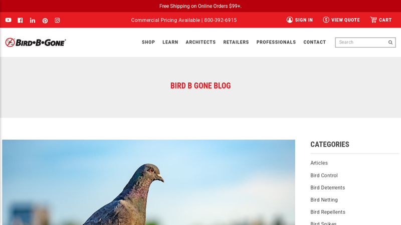 Bird Control Devices that Work and Those that Don't