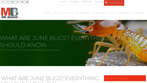 Mr. Buggs - June Bug Insights