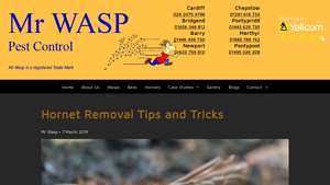 Mr Wasp - Hornet Nest Insecticides