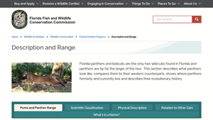 MyFWC - Florida Wild Cats