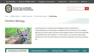 MyFWC - Panther Lifespan Insights
