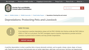 FWC - Wildlife Alert Hotline
