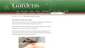 Neil Sperry - Black and Yellow Mud Dauber Guide