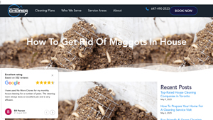No More Chores - Effective Maggot Solutions
