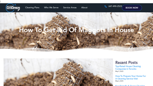 No More Chores - Effective Maggot Solutions