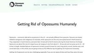Opossum Friends - Safe Removal Solutions