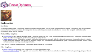 Optimara - African Violet Pest Solutions