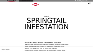 Orkin - Springtail Pest Control Services