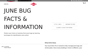 Orkin - June Bug Control