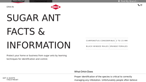 Orkin - Sugar Ant Control