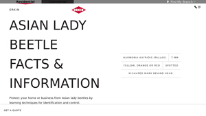 Orkin - Asian Lady Beetle Management