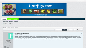 Our Figs - Quality Fig Products