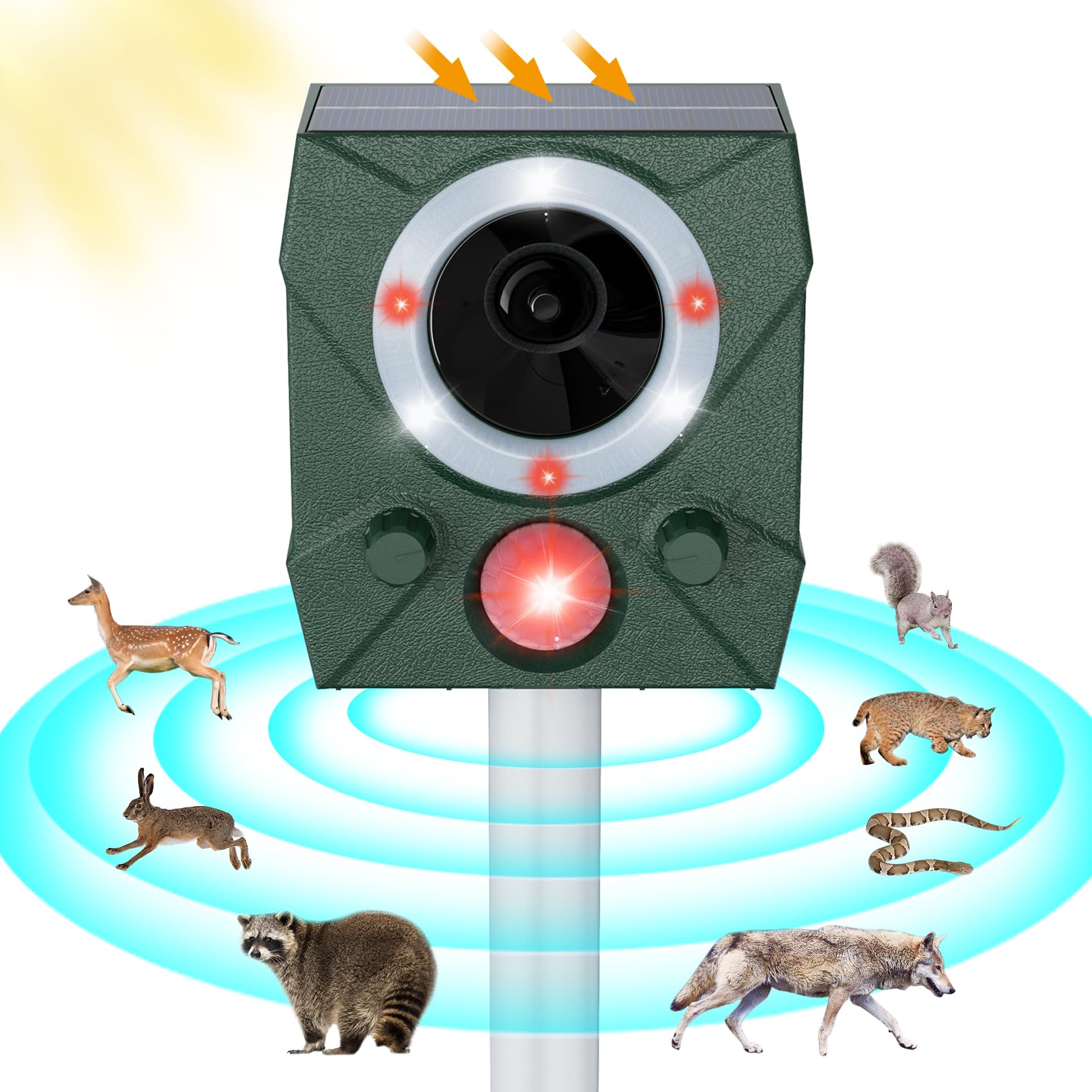 Illustrative image for outdoor ultrasonic squirrel repeller
