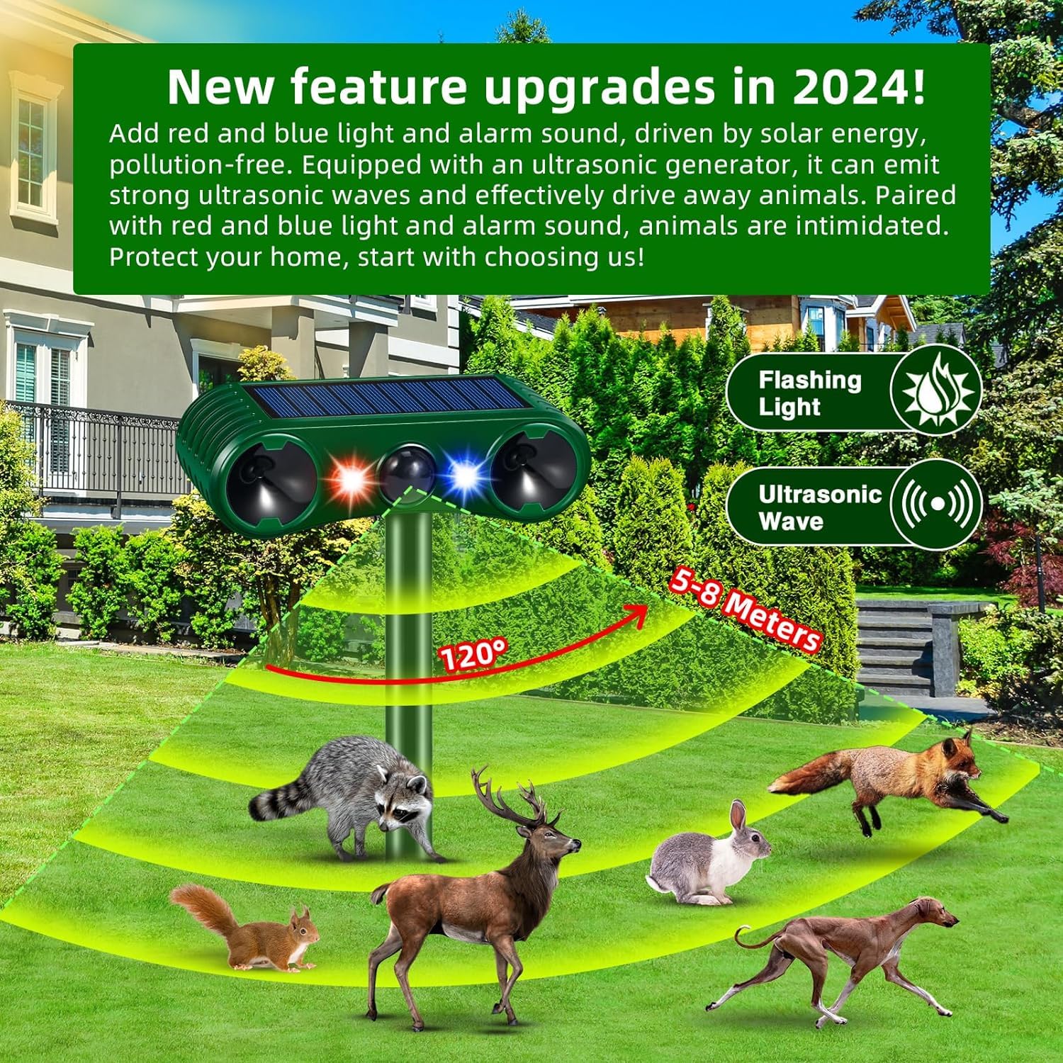 Illustrative image for outdoor ultrasonic squirrel repeller
