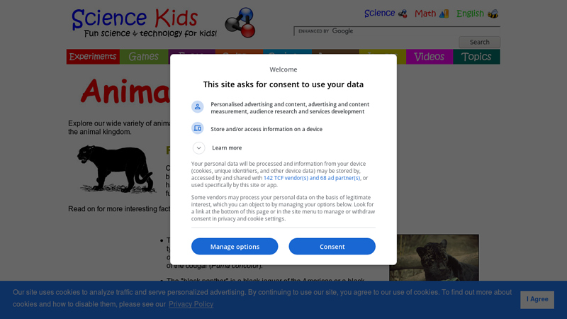 Fun Panther Facts for Kids - Interesting Information about Panthers