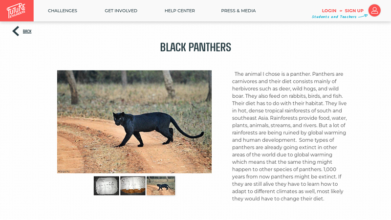 Future Creatures Challenge :: Gallery :: Black Panthers