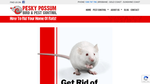 Pesky Possum - Rat and Mice Control Solutions