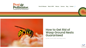 Pest and Pollinator - Essential Wasp Control Products