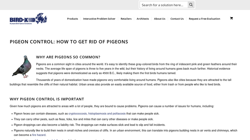 Pigeon Control – Pigeon Repellents & Deterrents - Bird-X