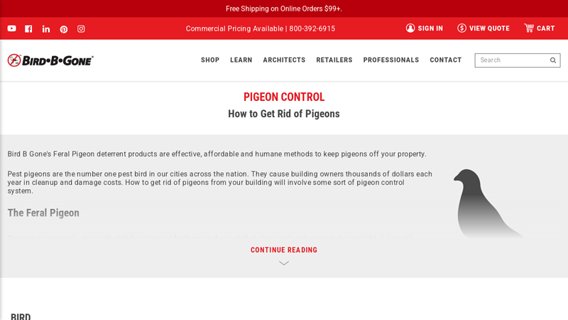 Pigeon Control Products - Bird B Gone