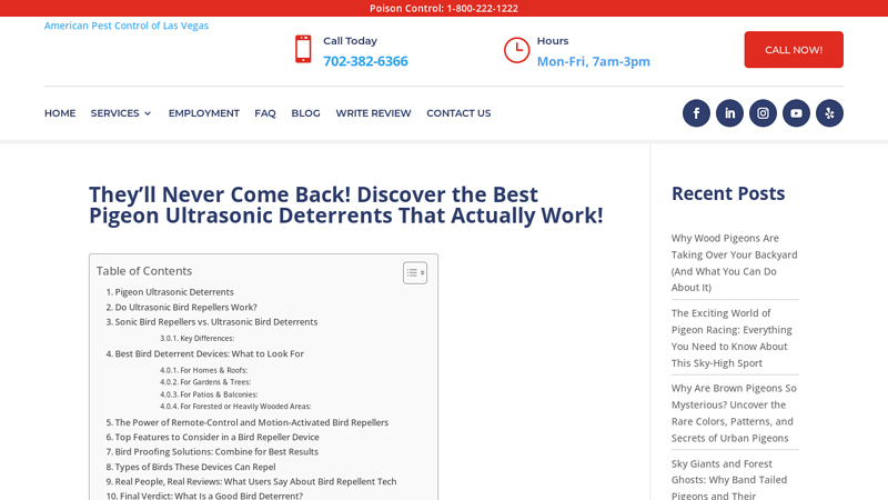 The Best Pigeon Ultrasonic Deterrents - American Pest Control