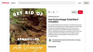Pinterest - Eco-Friendly Armadillo Repellent Guide
