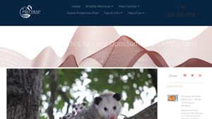 ProTrap - Humane Opossum Removal