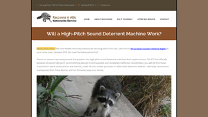 Raccoon Attic Guide - Wildlife Removal Solutions