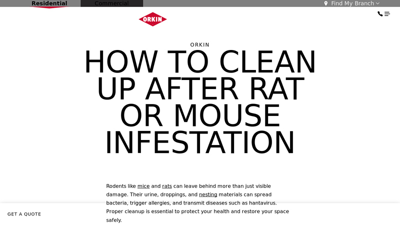 How to Clean Up After Rat or Mouse Infestation - Orkin