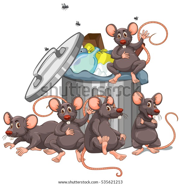 Illustrative image for rats and bleach