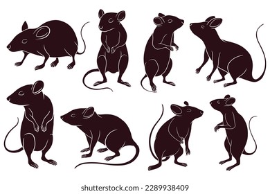 Illustrative image for rats like bleach