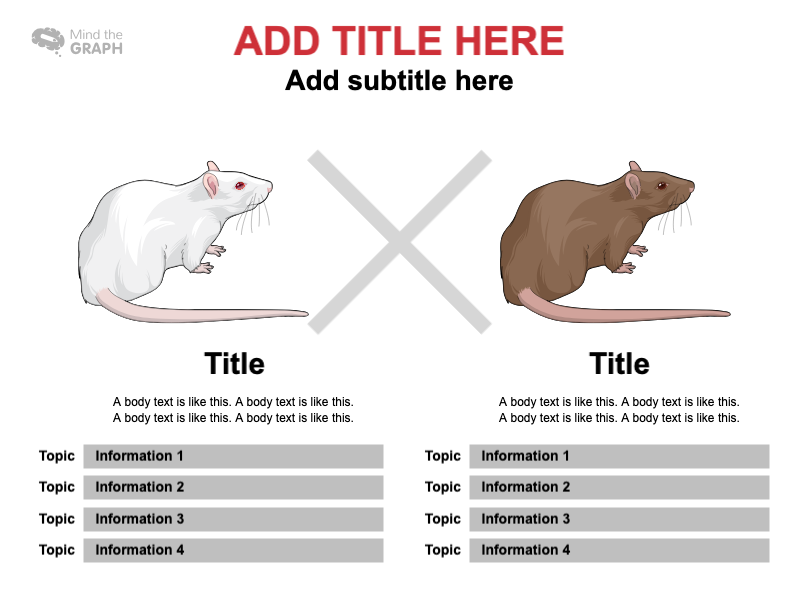 Illustrative image for rats like bleach