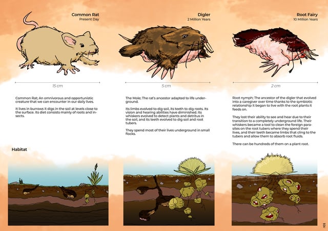 Illustrative image for rats like bleach