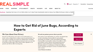 Real Simple - Insect Control Solutions