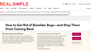 Real Simple - Natural Insecticides for Boxelder Bugs