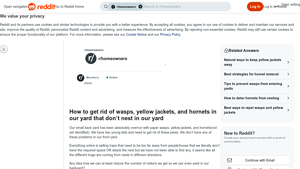 Reddit - Wasp Control Solutions