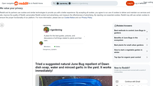Reddit - Natural June Bug Repellent