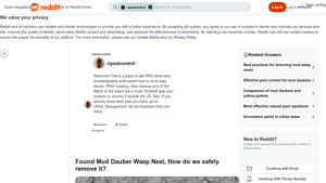 Mud Dauber Wasp Nest Removal - Effective Techniques